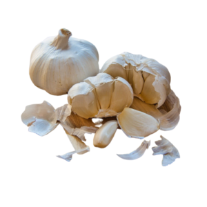 GARLIC