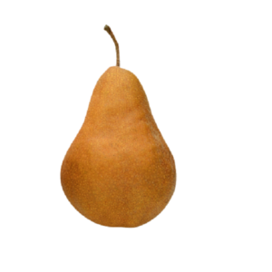 BOSC PEAR - PRICE PER Lb