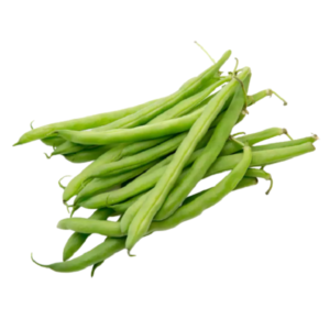 GREEN BEAN (BEANS) - PRICE PER Lb