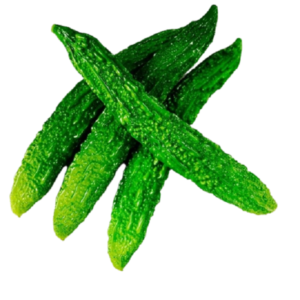 BITTER GOURD (PAVAKKA) - PRICE PER Lb