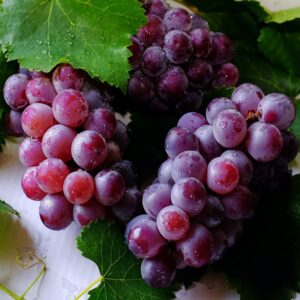 SEEDLESS RED GRAPES - ONE BAG