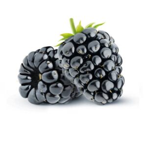 BLACKBERRY 170g