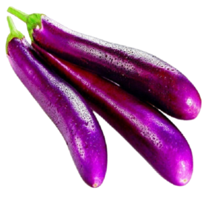 EGG PLANT (VAZHUTHANANGA) - PRICE PER Lb